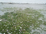 2017051714050001.jpg