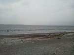 2017051714110000.jpg