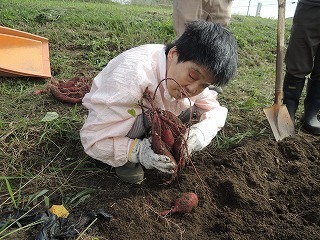 s-DSCN3372.jpg
