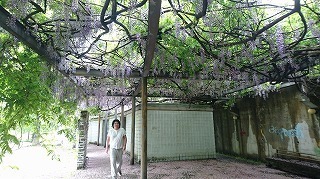 s-俊也さん.jpg
